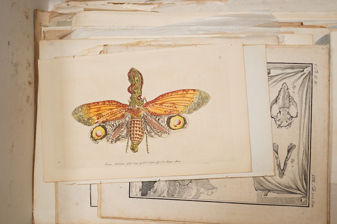 A group of hand coloured engravings, to include a heraldic example, trade advertisement labels and pen and ink and watercolour sketches, 18th/19th century